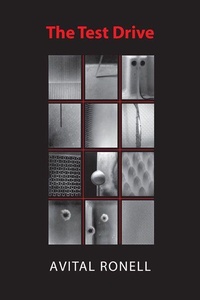 Enlarge image Cover: The Test Drive - University of Illinois Press