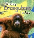 Cover: Watching Orangutans in Asia - Heinemann Educational Books