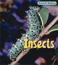 Cover: Insects - Heinemann Educational Books