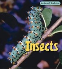 Enlarge image Cover: Insects - Heinemann Educational Books