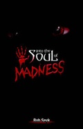 Cover: Into the Soul of Madness - Xlibris Corporation