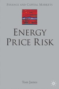 Enlarge image Cover: Energy Price Risk - Palgrave Macmillan