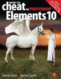 Abbildung von: How to Cheat in Photoshop Elements 10 - Focal Press