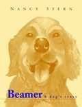 Cover: Beamer - Xlibris Corporation