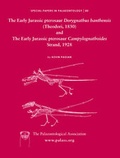 Cover: Early Jurassic pterosaur Dorygnathus banthensis (Theodori, 1830) and The Early Jurassic pterosaur Campylognathoides Strand, 1928 - Wiley