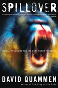 Cover: Spillover - Vintage Digital