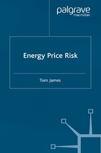 Enlarge image Cover: Energy Price Risk - Palgrave Macmillan