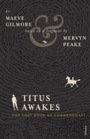 Cover: Titus Awakes - Vintage Digital