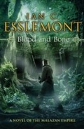 Cover: Blood and Bone - Transworld Digital