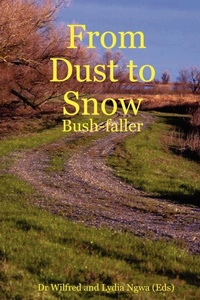 Abbildung von: From Dust to Snow - Lulu.com