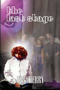 Enlarge image Cover: The Last Stage - Xlibris