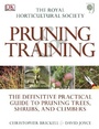 Cover: RHS Pruning and Training - DK