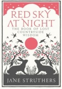Enlarge image Cover: Red Sky at Night - Ebury Digital