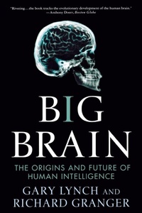 Enlarge image Cover: Big Brain - St Martin's Press
