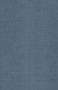 Cover: "How Long This Road" - Palgrave MacMillan