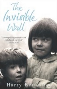 Enlarge image Cover: The Invisible Wall - Cornerstone Digital
