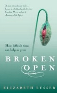 Enlarge image Cover: Broken Open - Ebury Digital