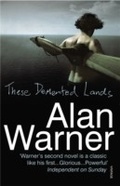 Cover: These Demented Lands - Vintage Digital