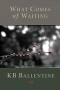 Cover: What Comes of Waiting - 1st World Publishing
