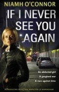 Cover: If I Never See You Again - Transworld Digital