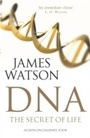 Cover: DNA - Cornerstone Digital