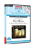 Cover: Owl Babies - Scholastic
