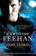 Cover: Dark Storm - Piatkus Books