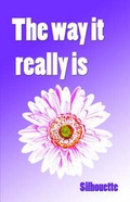 Cover: The Way It Really Is - America Star Books