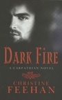 Cover: Dark Fire - Piatkus Books