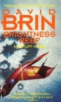 Cover: Brightness Reef - Orbit
