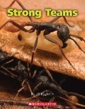 Cover: Strong Teams - Scholastic
