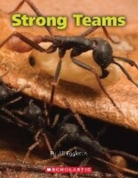 Enlarge image Cover: Strong Teams - Scholastic