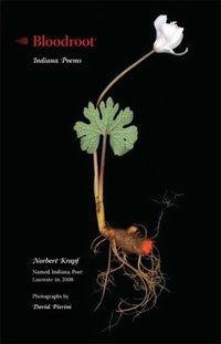 Enlarge image Cover: Bloodroot - Indiana University Press