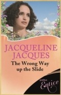 Cover: Wrong Way Up The Slide - Piatkus Books