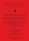 Cover: Conceptualising Space and Place - BAR Publishing