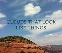 Abbildung von: Clouds That Look Like Things 2013 Calendar - Abrams