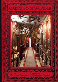 Abbildung von: Cabinets of Wonder - Abrams