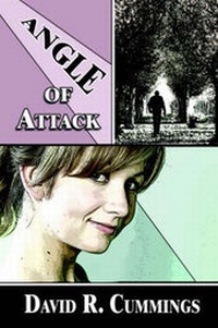 Enlarge image Cover: Angle of Attack - Publish America
