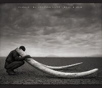Enlarge image Cover: Across the Ravaged Land - Abrams