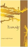 Cover: Damage - University of Notre Dame Press