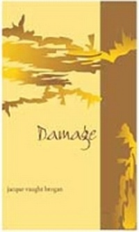 Enlarge image Cover: Damage - University of Notre Dame Press