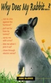 Abbildung von: Why Does My Rabbit...? - Souvenir Press Ltd