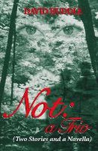 Enlarge image Cover: Not: a Trio - University of Notre Dame Press