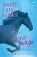 Cover: Horse in Danger - Usborne Publishing Ltd