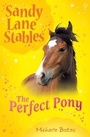 Cover: Perfect Pony - Usborne Publishing Ltd