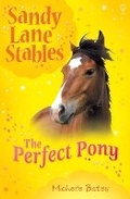 Cover: Perfect Pony - Usborne Publishing Ltd
