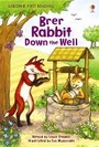 Cover: Brer Rabbit Down the Well - Usborne Publishing Ltd