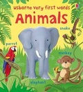 Cover: Animals - Usborne Publishing Ltd