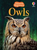 Cover: Owls - Usborne Publishing Ltd