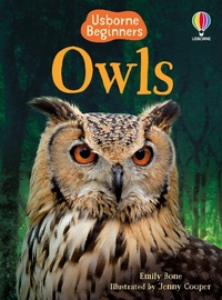 Enlarge image Cover: Owls - Usborne Publishing Ltd